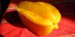 Fruit du carambolier