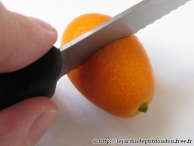 Semis Kumquat