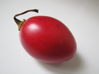 Semis Tamarillo