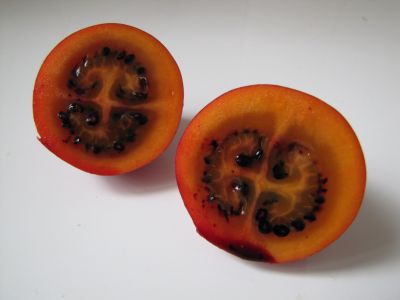 Semis Tamarillo